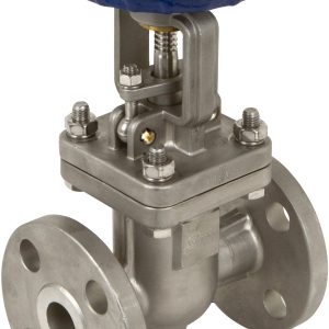 VALVULA COMPUERTA BRIDADA 300# R.F. INOXIDABLE T316 6